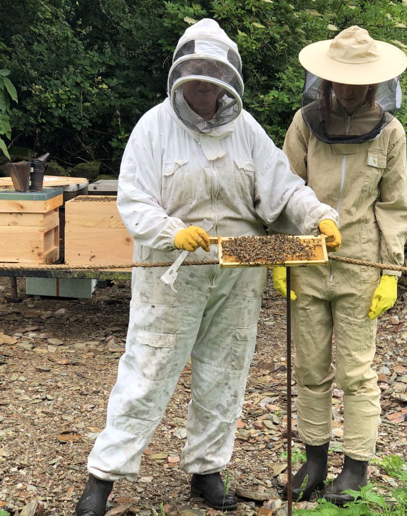 Showing off the new Hestercombe honey bees