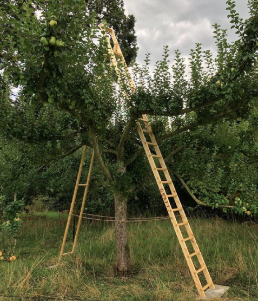 Graft Ladder by Jo Lathwood, part of Open-Up for Hestercombe Gallery