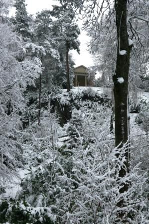 The Temple surrounded by snow covered branches