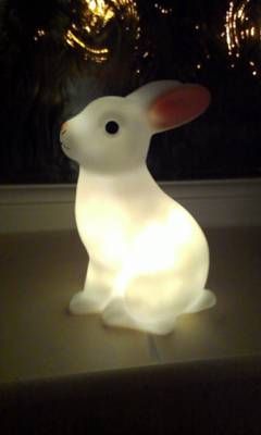 b2ap3_thumbnail_bunny