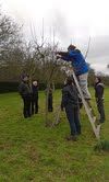thumb_apple-prunning-workshop