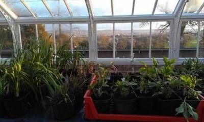 b2ap3_thumbnail_glasshouse-2-email-version.jpg