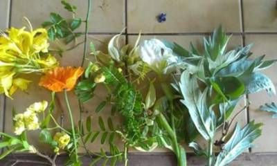 b2ap3_thumbnail_11.6.13-plant-idweb.jpg