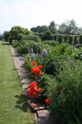 b2ap3_thumbnail_26.6-poppy-on-east-rillweb.JPG b2ap3_thumbnail_26.6-poppy-on-east-rillweb.JPG