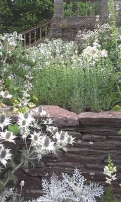 orangery bed