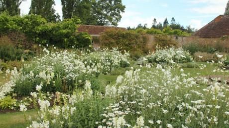 Barrington-Court-White-Garden