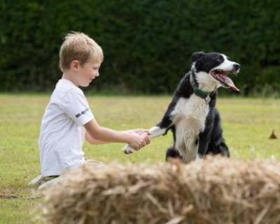 b2ap3_thumbnail_rwinn_Family-Dog-Day04.jpg b2ap3_thumbnail_rwinn_Family-Dog-Day04.jpg