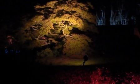 19.9.13-acer-at-illuminaweb.jpg