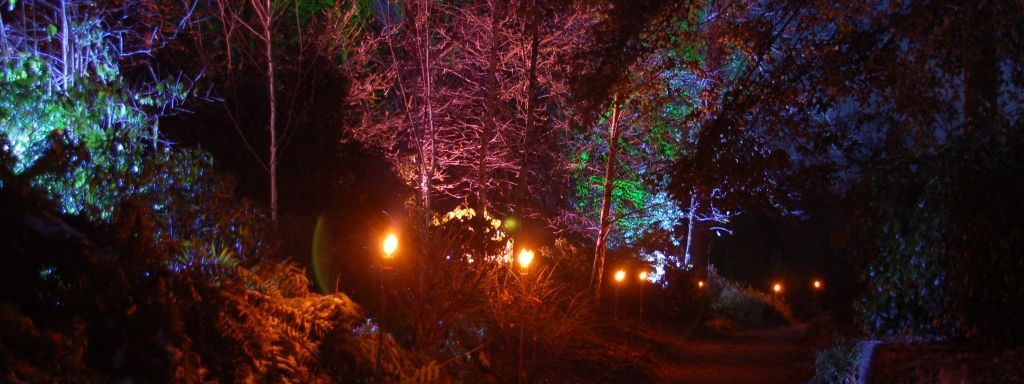 Hestercombe-Christmas---Winter-Wonderland.JPG