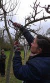 claire-pruning-an-apple_20140117-091946_1