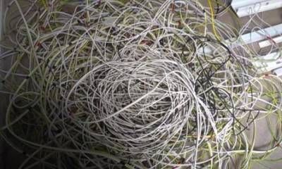 b2ap3_thumbnail_more-cables-feb-14web.jpg b2ap3_thumbnail_more-cables-feb-14web.jpg