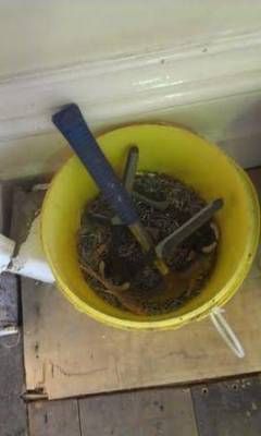 b2ap3_thumbnail_staple-removed-from-floors-in-house-feb-14web.jpg b2ap3_thumbnail_staple-removed-from-floors-in-house-feb-14web.jpg