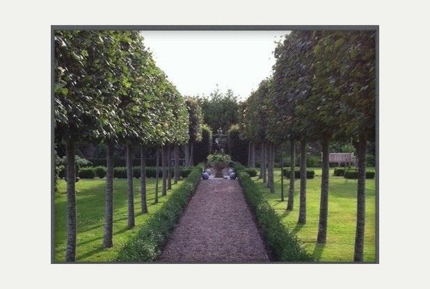 Bradon-Farm-Open-Garden.jpg