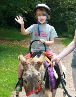 b2ap3_thumbnail_Donkey-Rides-1.JPG