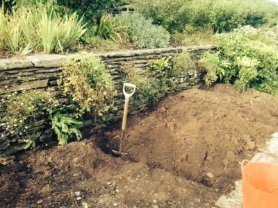 b2ap3_thumbnail_beds-dug-over.jpg