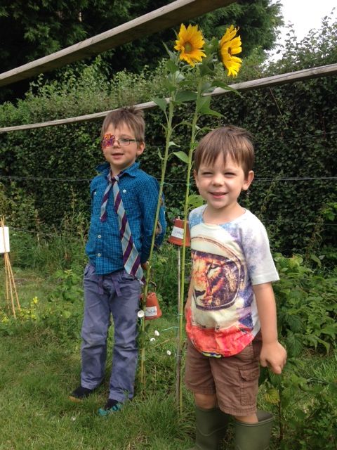 sunflower planting kids