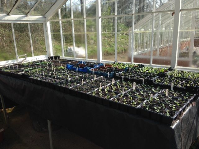 seeds-2015.jpg