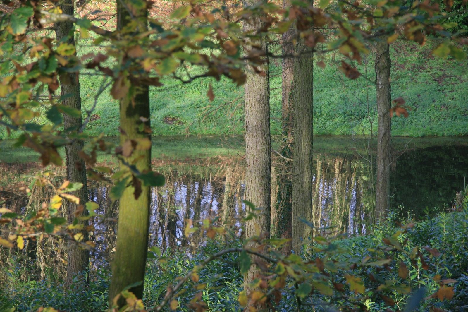 Hestercombe’s Box Pond