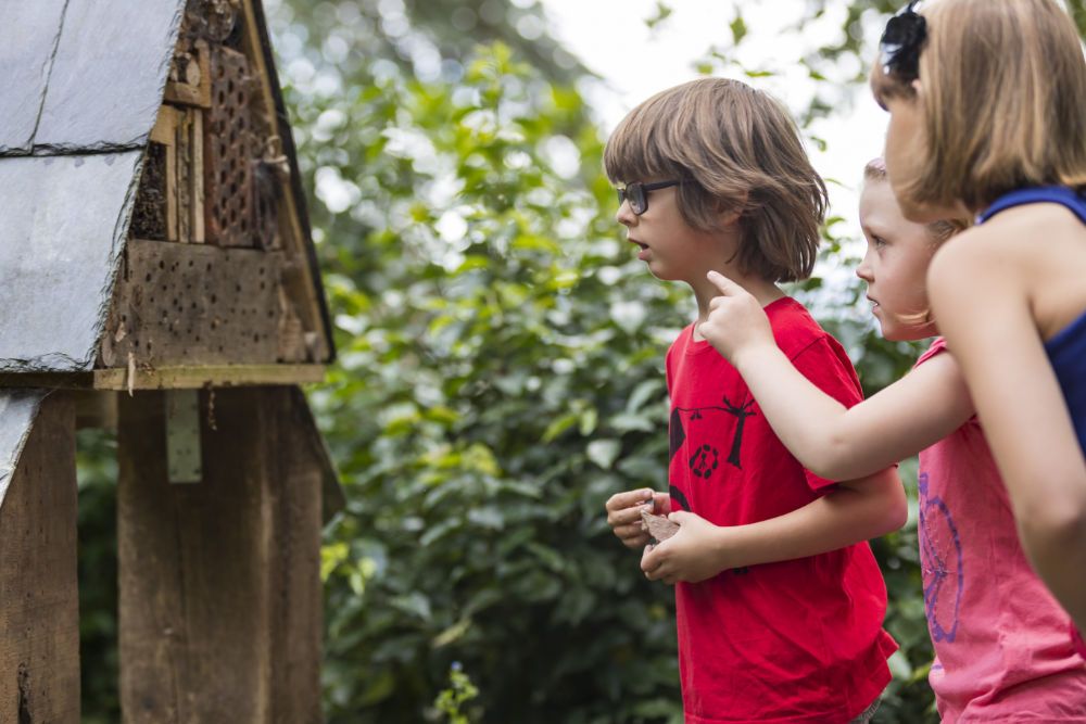 Use these wildlife gardening ideas and your garden will soon be buzzing with bees and spilling over with blooms. We make it easy to garden for wildlife while creating a beautiful outdoor space you'll enjoy too.