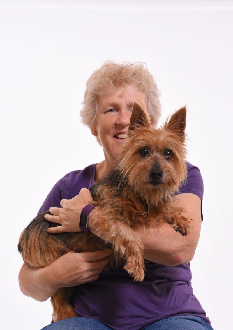 Dogs of Hestercombe Exhibition