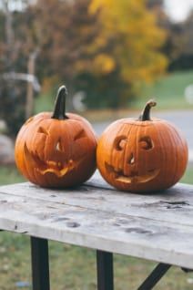 Find out how to grow giant and miniature Halloween pumpkins, try our top tips for pumpkin carving and discover delicious easy pumpkin recipe ideas to make.