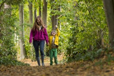 Find our top five things to do in our autumn days out with the kids blog