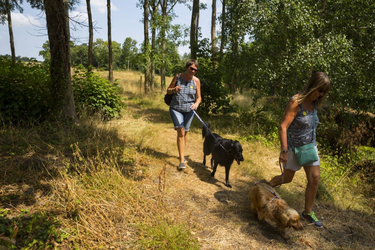 Walking has been proven to have mental health benefits