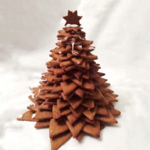 Celebrate Christmas with a twist and create an alternative Christmas tree. From illuminated branches to trees made from books and biscuits, find ideas here.