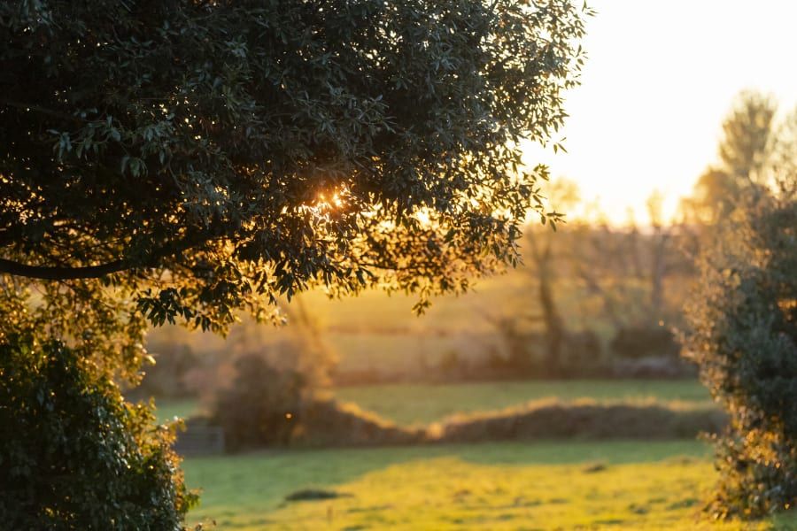 Get your wellies on! From improving your health to the chance to get the family together, find out why you should visit winter gardens this year.