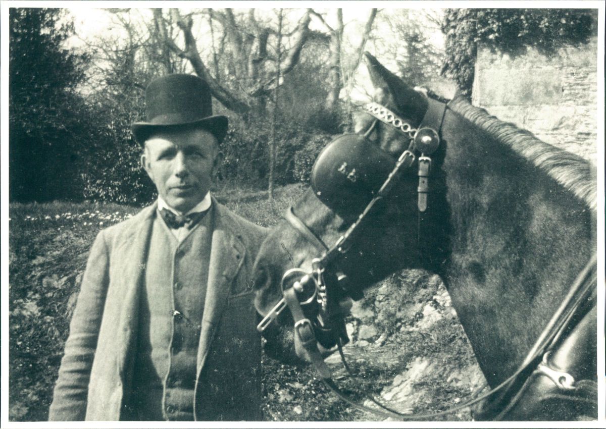 Fig. 7 -- Edward (‘Ted’) Humphris (1856-1924) with carthorse Tomasina 1904 - domestic servants