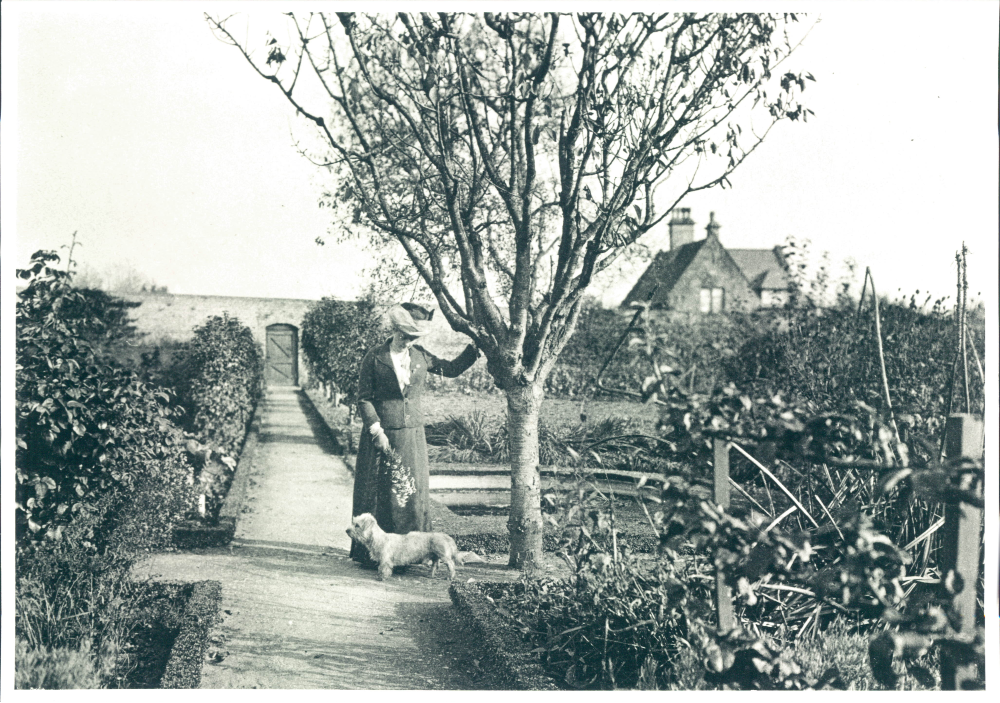 From the Archives: Hestercombe's lost kitchen garden