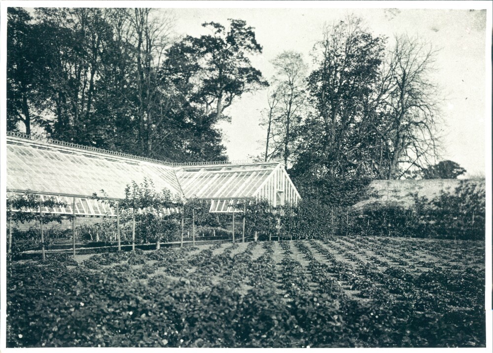 From the archives: the lost kitchen garden at Hestercombe