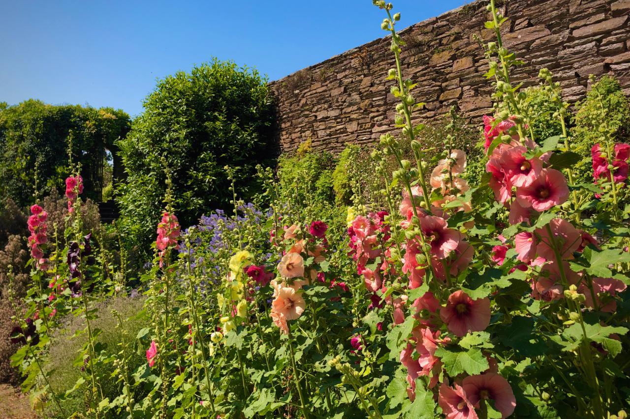 From viewing the lush greenery to smelling the flowers, and even pulling out the weeds, gardening offers so many opportunities to be fully present by engaging your senses