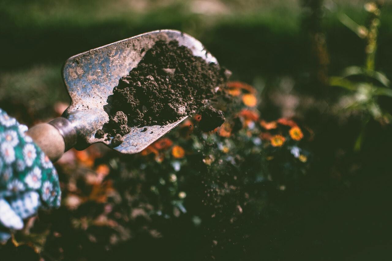 Why gardening is the best form of mindfulness