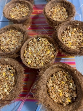 Coir pot bird feeders with suet and seed mix
