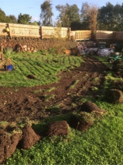 flower beds at Chateau Greenslade - Gardener Blogs: Starting New Flower Beds