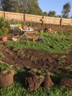 flower beds at Chateau Greenslade - Gardener Blogs: Starting New Flower Beds