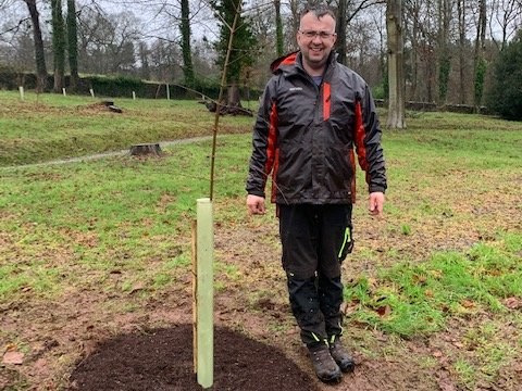 How to Plant a Tree